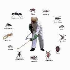 67344020136bc-pest_control.jpg